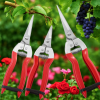 Прищеплювальний секатор Professional Grafting Tool для саду, виноградників та розсадників