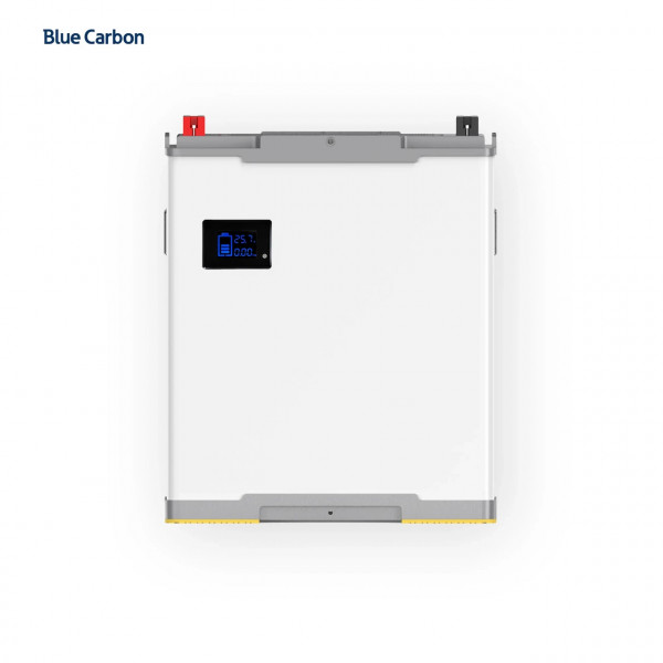 Акумуляторна батарея Blue Carbon LiFePo4 24V 200Ah 5.12kWh BCT-V-24-200