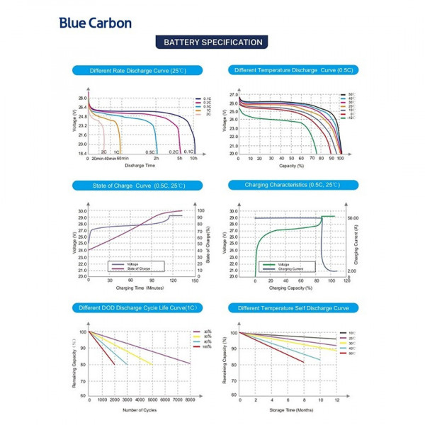 Акумуляторна батарея Blue Carbon LiFePo4 24V 200Ah 5.12kWh BCT-V-24-200