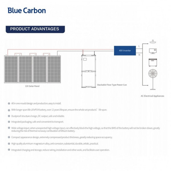 Акумуляторна батарея Blue Carbon LiFePo4 48V 200Ah 10.24kWh BCT-V-48-200