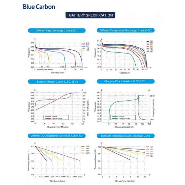 Акумуляторна батарея Blue Carbon LiFePo4 48V 200Ah 10.24kWh BCT-V-48-200