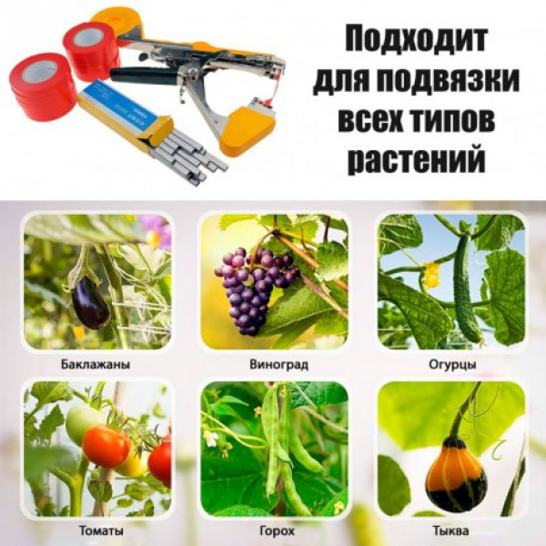 Степлер для подвязки винограда (усиленный) TAPETOOL